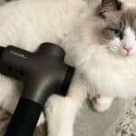 Mebak 3 Massage Gun Deep Tissue