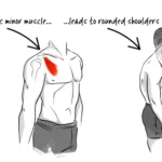 How to Massage Your Shoulder Blades for Maximum Relaxation