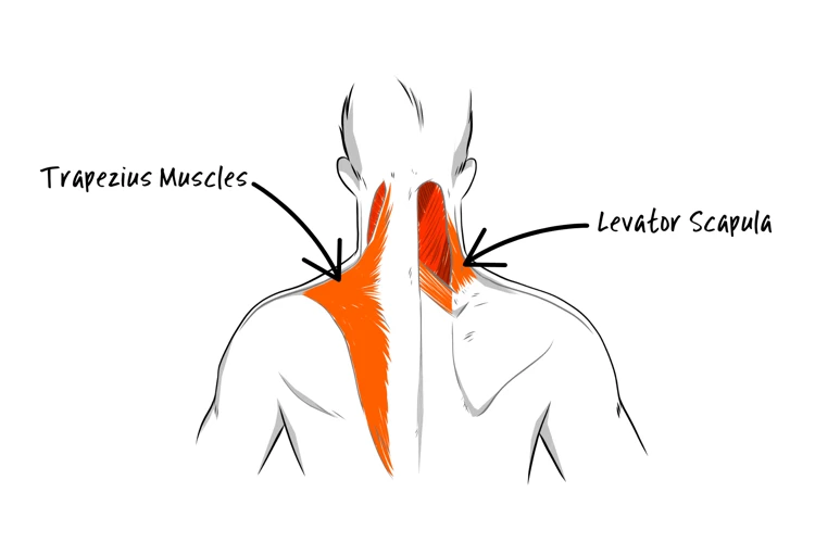 Benefits Of Shoulder Blade Massage