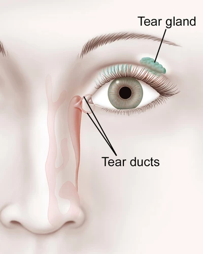 How To Locate The Tear Duct