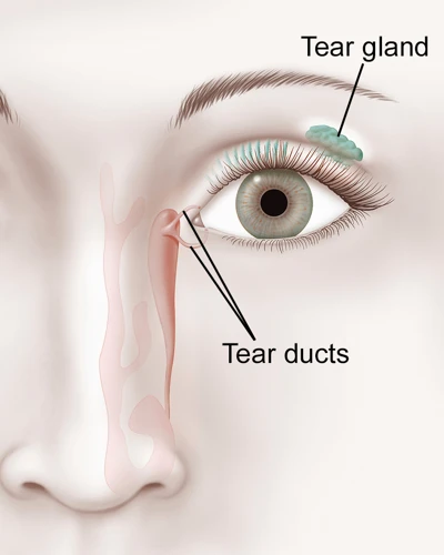 How To Massage A Blocked Tear Duct In Adults