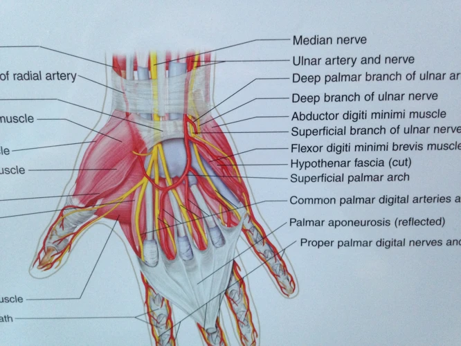 How To Massage Median Nerve