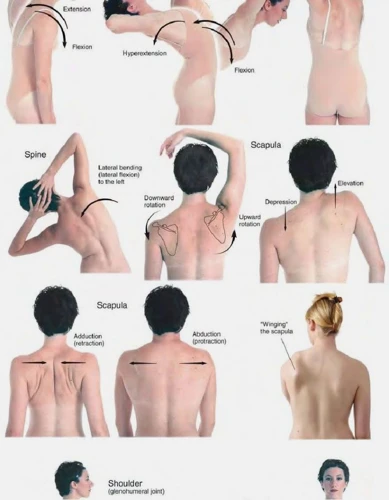 How To Perform Back Massage