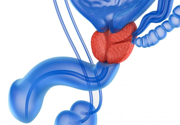Why Does Prostate Massage Feel Good?
