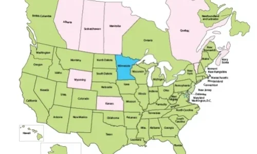Massage License Requirements by State: Where You Need Certification