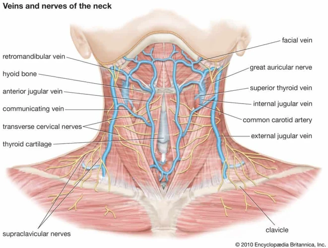 Benefits Of Regular Neck Massage