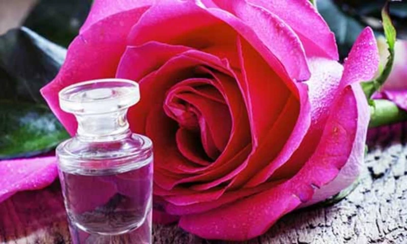 Care And Maintenance Of The Rose Massager