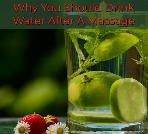 Why Drink Water After a Massage? Why Drink Water After a Massage?