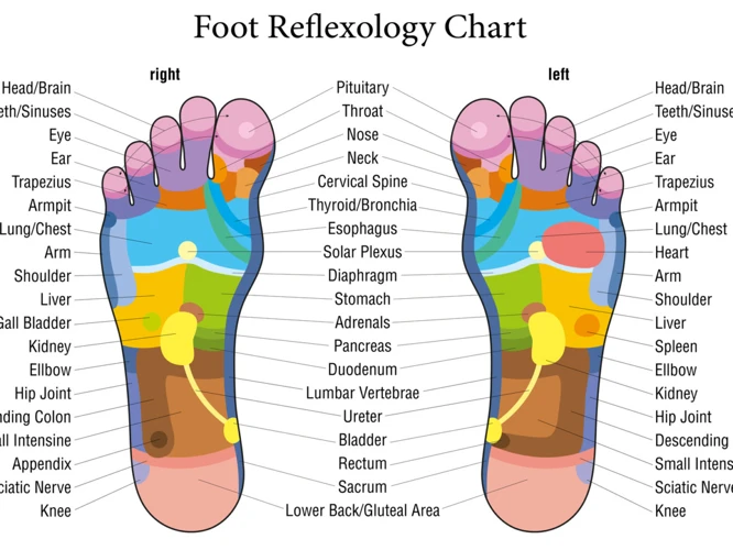 Reflexology Points On The Feet