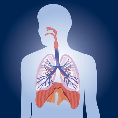 Steps To Massage Mucus Out Of Lungs