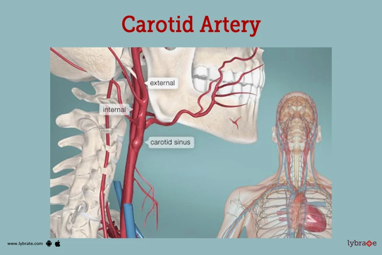 Tips For Performing A Carotid Massage