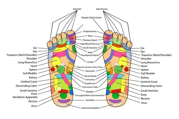 Abstract illustration representing how reflexology affects the nervous system