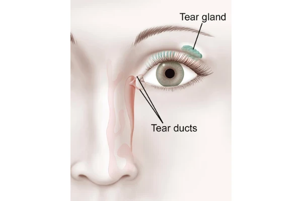blocked tear duct massage